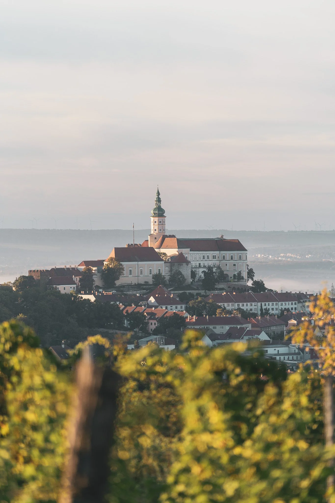 Mikulov