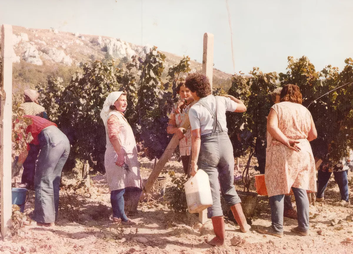 Doplňte fotografii sklepa nebo historie vinařství